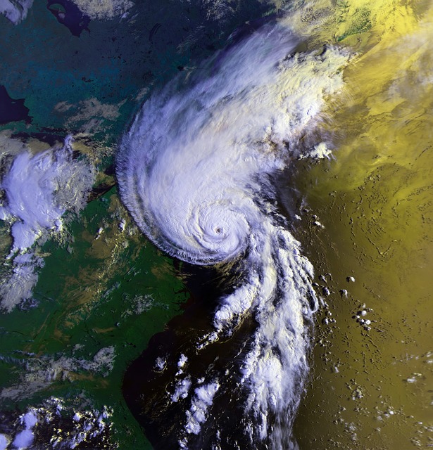 Florida commercial or business insurance coverage