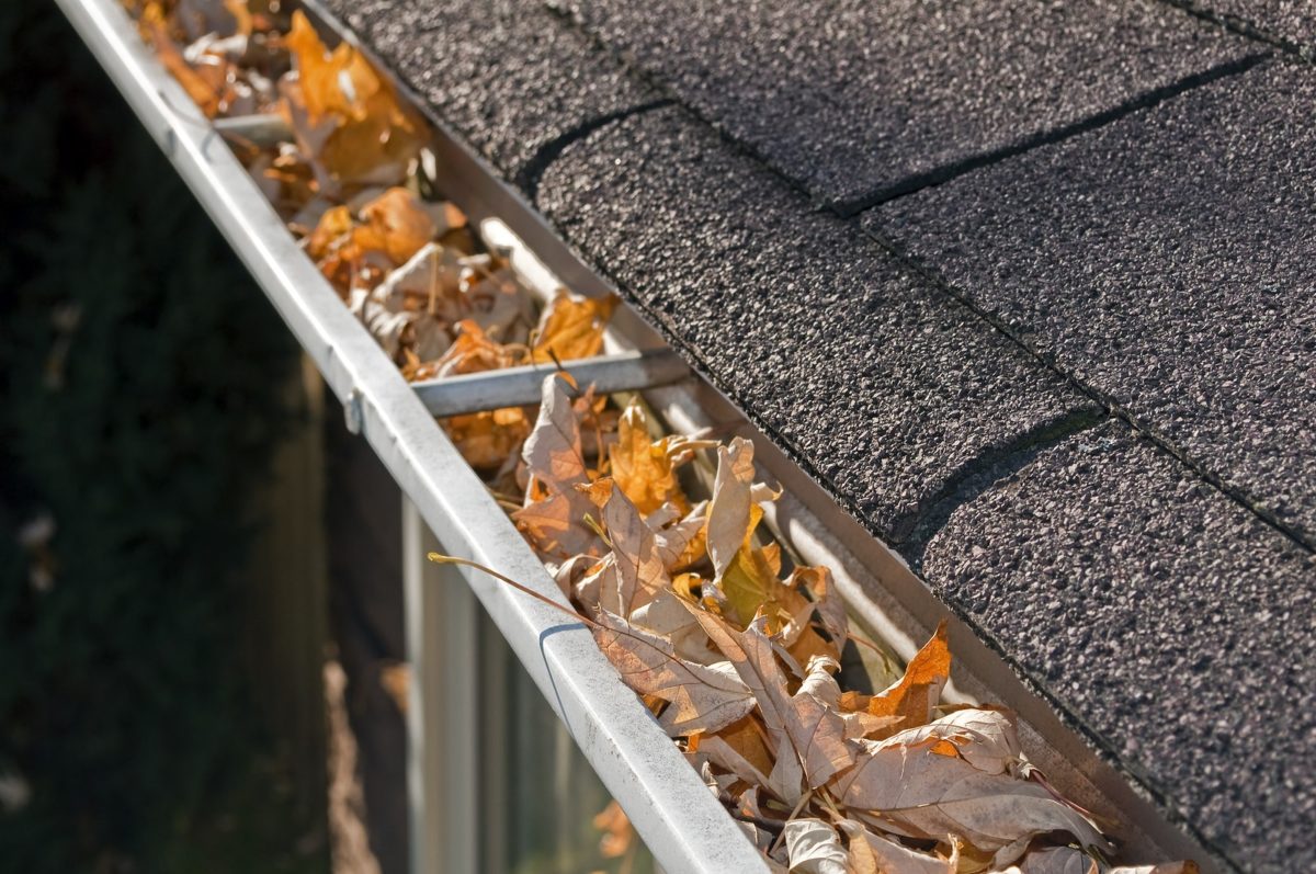 The Most Importance Home Maintenance Projects for Autumn