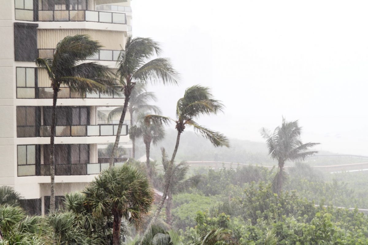 Planning for the Worst How Real Estate Agents Can Get Through a Hurricane
